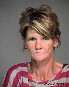 Robin Ellen Wheeler Mugshot