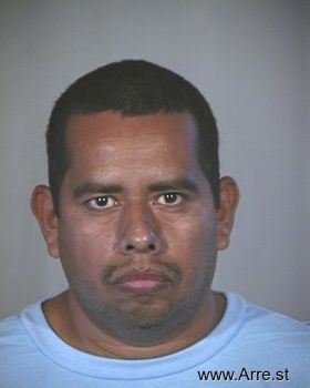 Ramon  Delgado-palafox Mugshot