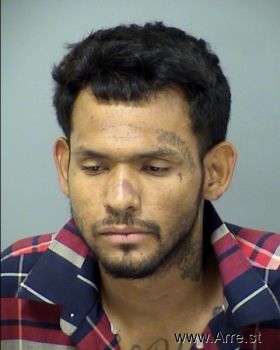 Ramon  Pena Mugshot