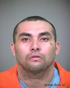 Raul  Delgado Mugshot