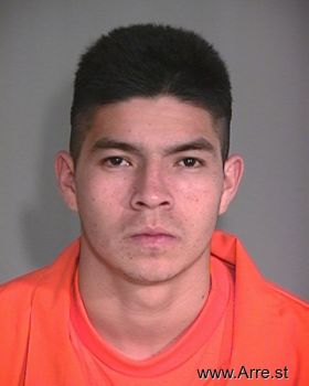 Raul  Hernandez-ibarra Mugshot