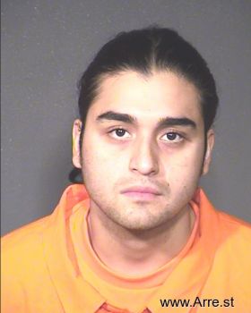 Raul L Pena Mugshot