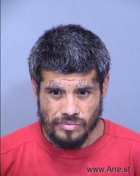 Raul  Robles Mugshot