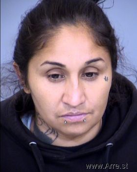 Rebecca Renee Lopez Mugshot