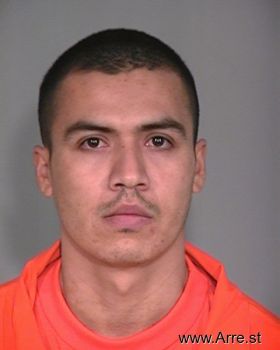 Rene F Medina-vasquez Mugshot