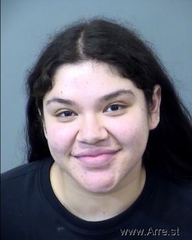 Reyna Benita Sanchez Mugshot