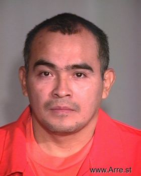 Ricardo  Dominguez Mugshot