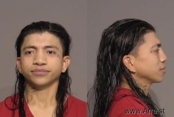 Ricardo  Gonzalez Mugshot