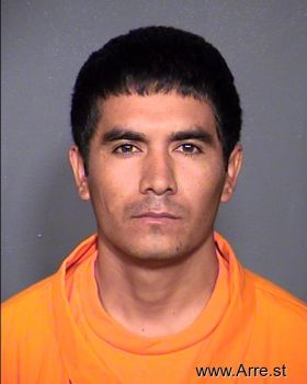 Ricardo  Hernandez-mendivil Mugshot