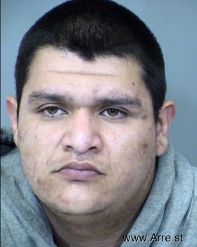 Ricardo  Hernandez Estrada Mugshot