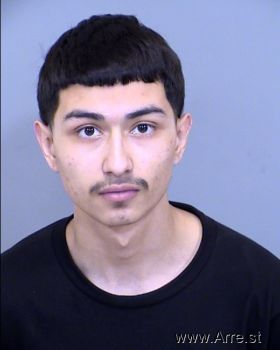 Ricardo Angel Nunez Mugshot