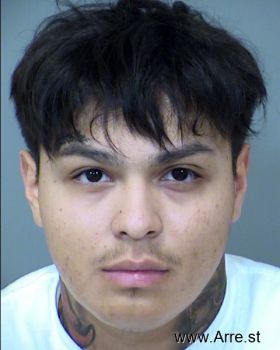 Ricardo  Nunez-tapia Mugshot