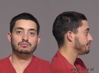 Ricardo  Pineda-picon Mugshot