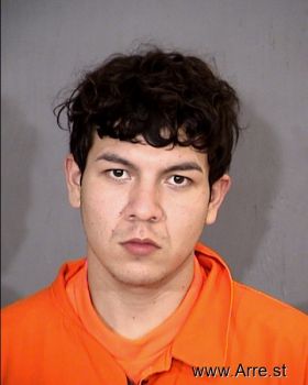 Ricardo A Ramirez-cruz Mugshot