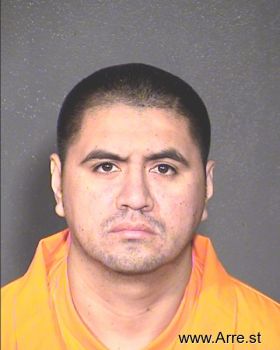 Ricardo  Ramirez-rojas Mugshot