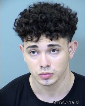 Robert  Carreon Mugshot