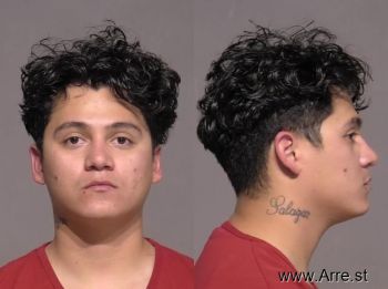 Roberto  Salazar Aguilar Mugshot