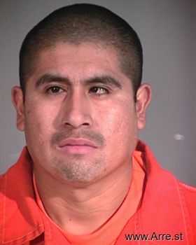 Rodrigo  Hernandez-perez Mugshot