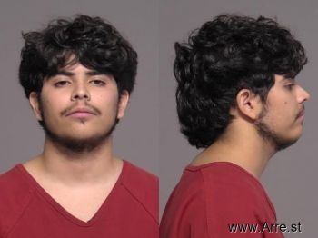 Ronaldo  Noriega Avila Mugshot