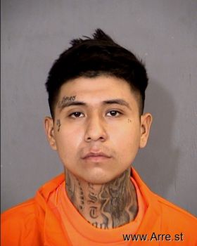 Roni M Rojas Mugshot