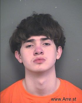 Ryan V Loera Mugshot