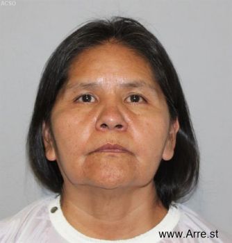 Sandra Lou Peterson Mugshot