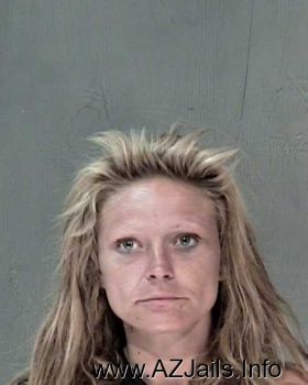 Sandra Lee Williams Mugshot