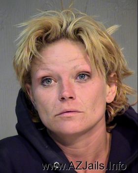 Sandra Lee Williams Mugshot