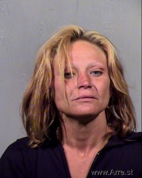 Sandra Lee Williams Mugshot