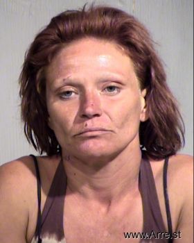 Sandra  Williams Mugshot