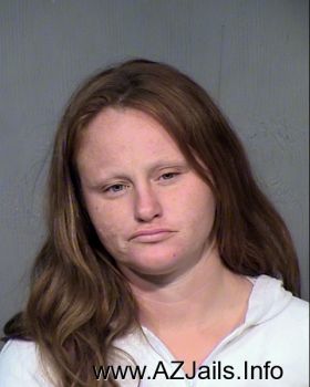 Sarah Lee Williams Mugshot