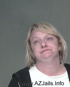 Shannon Lee Anderson Mugshot