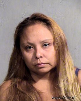 Sharon  Begay Mugshot