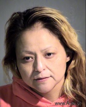 Shawna Dee Begay Mugshot