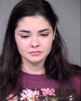 Shelby Renee Johnson Mugshot