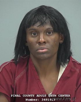 Sandra  Chapman Mugshot