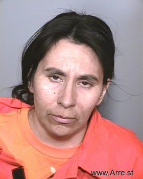 Sandra P Sanchez Mugshot