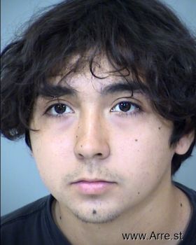 Saul  Silva Martinez Mugshot