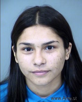 Savannah Monique Portillo Mugshot