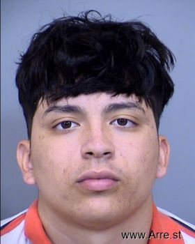 Sebastian  Garcia Castillo Mugshot