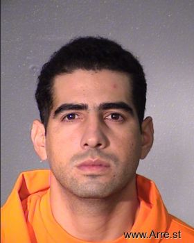 Sergio  Castillo-martinez Mugshot