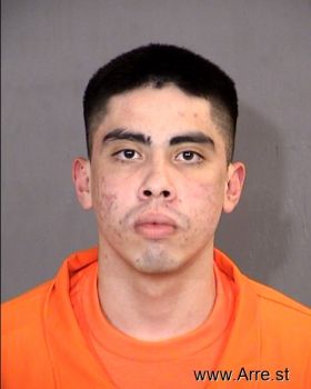 Sergio S Castillo-ornelas Mugshot