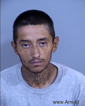 Sergio  Chavez Ochoa Mugshot