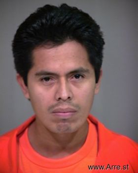 Sergio H Hernandez Mugshot