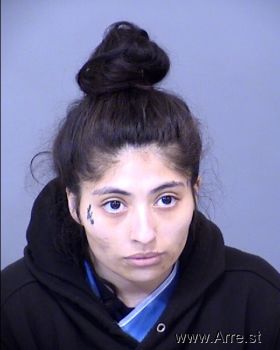 Shanel Felia Campos Mugshot