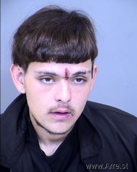 Shawn Taylor Tovar Mugshot