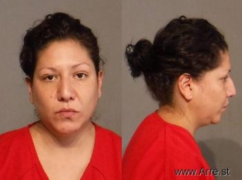 Susana  Mendoza Mugshot