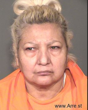 Sylvia  Carrillo Mugshot