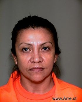 Sylvia  Rangel Mugshot