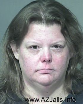 Teresa Dawn Babcock Mugshot